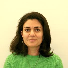 Mariam Ordyan, Ph.D.