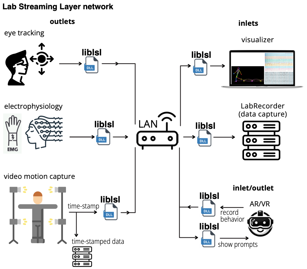 Neuroinformatics & Open Science