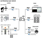 The Lab Streaming Layer for Synchronized Multimodal Recording
